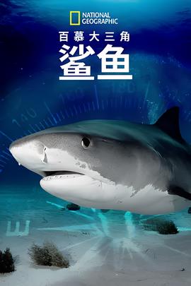 2021年电视剧免费观看全集