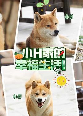 电视剧武媚娘传奇下载
