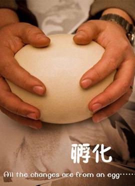 手工编织乌龟