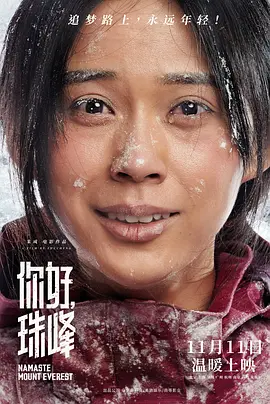 电视剧桐柏英雄33集