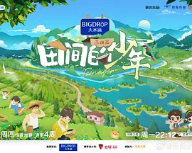 花开山乡电视剧央视一套播出