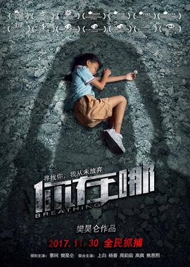 紫霞神功到底什么档次