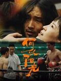 赛车总动员2快播