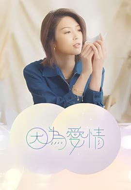 旋风十一人在线观看