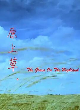 天师钟馗全集高清免费观看