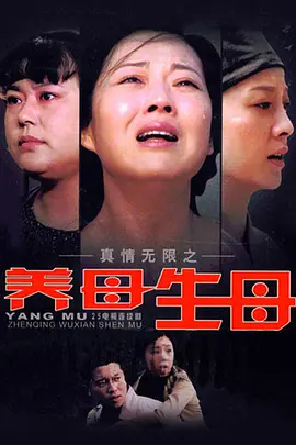 钢铁侠2在线观看西瓜