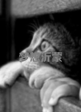 千金归来电视免费全集在线观看