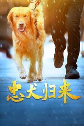 岁月电视剧免费完整版