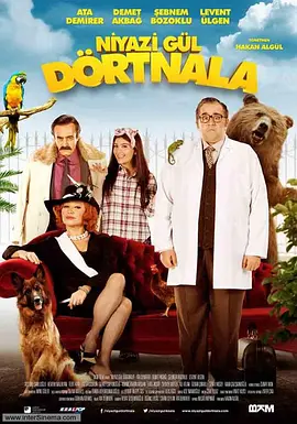 爱情公寓5在线观看4k