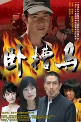 女人必看的七部电视剧