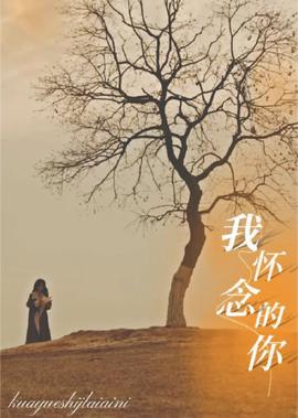 大清盐商阿克占