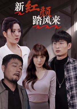 火流星电视剧免费观看