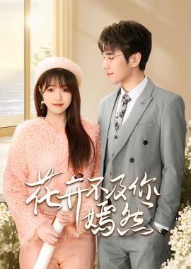 海南卫视直播在线观看
