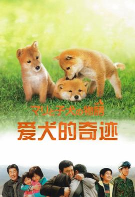 早安总统大人