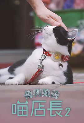 以你的心诠释我的爱2剧情介绍
