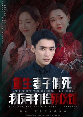 柠檬精先生电视剧剧情免费