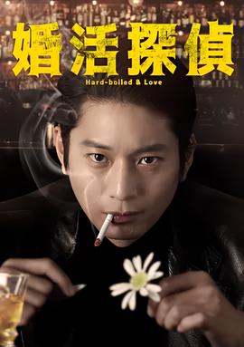 岳飞精忠报国电视剧