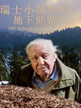 林更新赵又廷