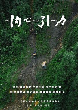 奥特曼大全电视剧